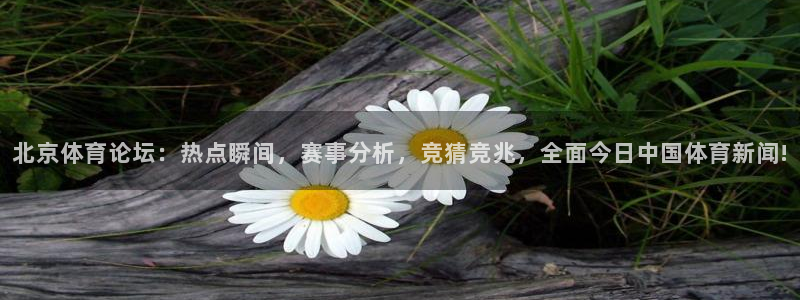 360直播体育赛事直播篮球：北京体育论坛：热点瞬间，赛事分析，竞猜竞兆，全面今日中国体育新闻!