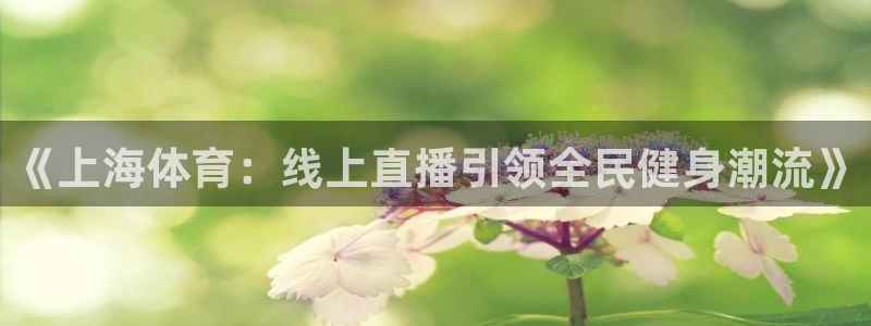360直播足球直播雨燕足球直播：《上海体育：线上直播引领全民健身潮流》