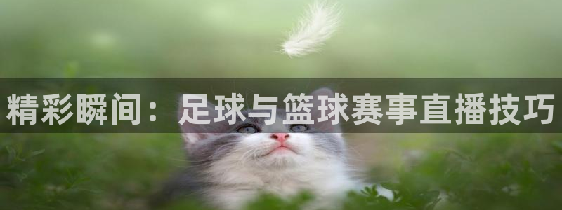 360体育直播在线观看免费：精彩瞬间：足球与篮球赛事直播技巧