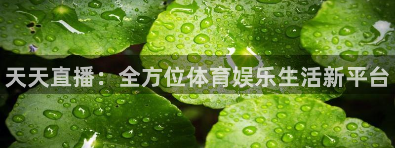 360体育免费观看直播：天天直播：全方位体育娱乐生活新平台