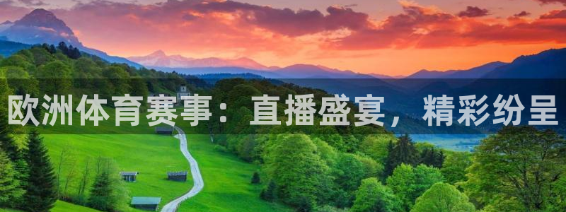 360直播足球比赛在线观看：欧洲体育赛事：直播盛宴，精彩纷呈