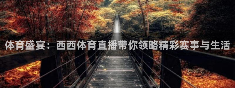 360直播nba直播：体育盛宴：西西体育直播带你领略精彩赛事与生活