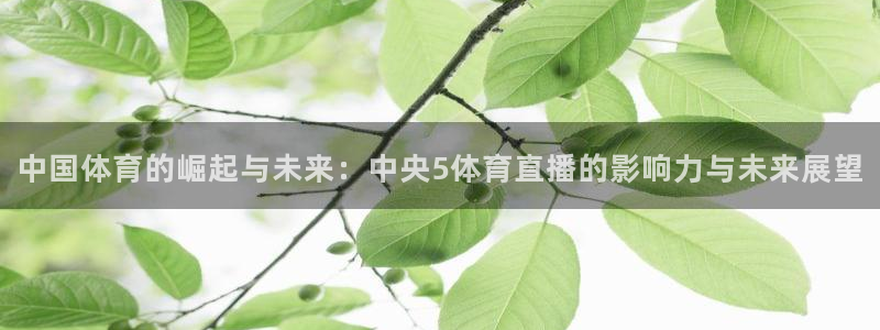 360体育免费直播无插件高清直播：中国体育的崛起与未来：中央5体育直播的影响力与未来展望