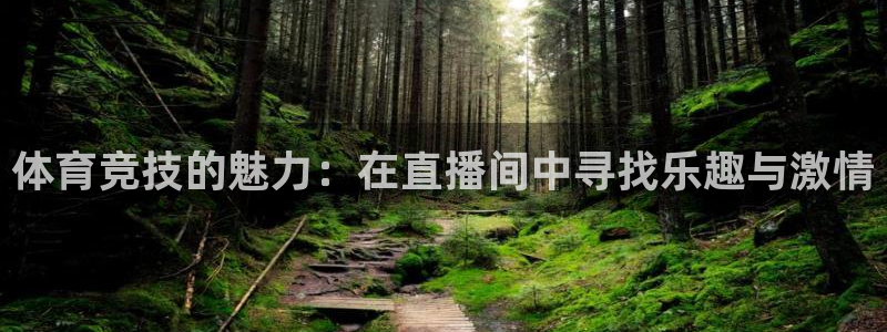 360雨燕体育直播在线看高清视频：体育竞技的魅力：在直播间中寻找乐趣与激情