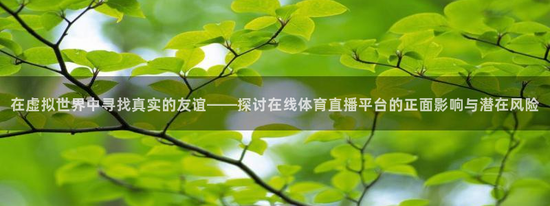360直播网 足球直播：在虚拟世界中寻找真实的友谊——探讨在线体育直播平台的正面影响与潜在风险