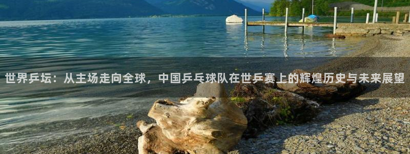 360体育直播免费观看现场直播：世界乒坛：从主场走向全球，中国乒乓球队在世乒赛上的辉煌历史与未来展望