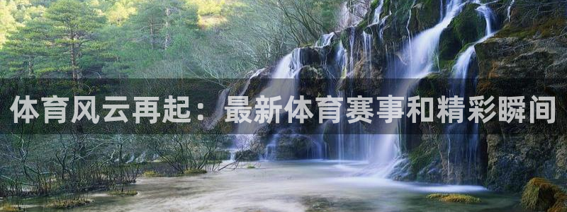 雨燕360体育直播全网发布.新年网.中国：体育风云再起：最新体育赛事和精彩瞬间