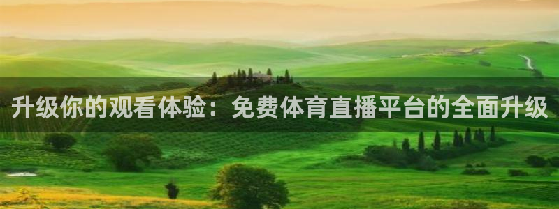 360篮球赛事直播：升级你的观看体验：免费体育直播平台的全面升级