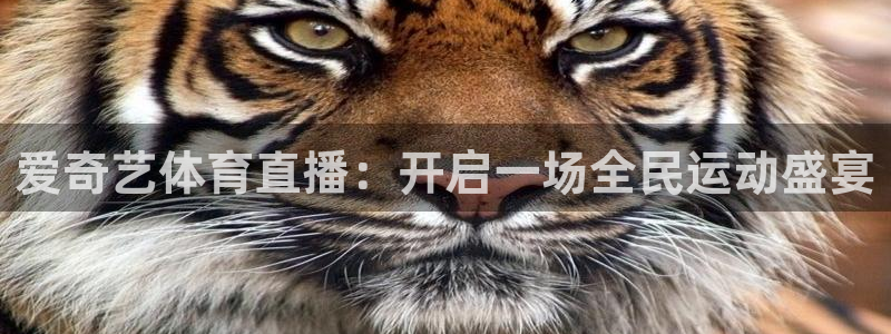 雨燕360体育赛事直播：爱奇艺体育直播：开启一场全民运动盛宴