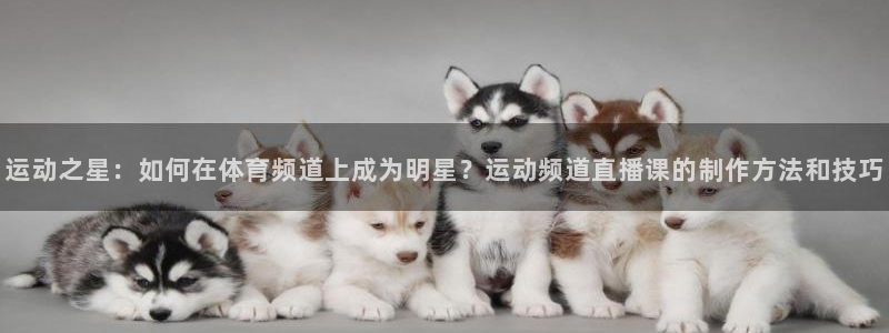360足球比赛直播雨燕：运动之星：如何在体育频道上成为明星？运动频道直播课的制作方法和技巧