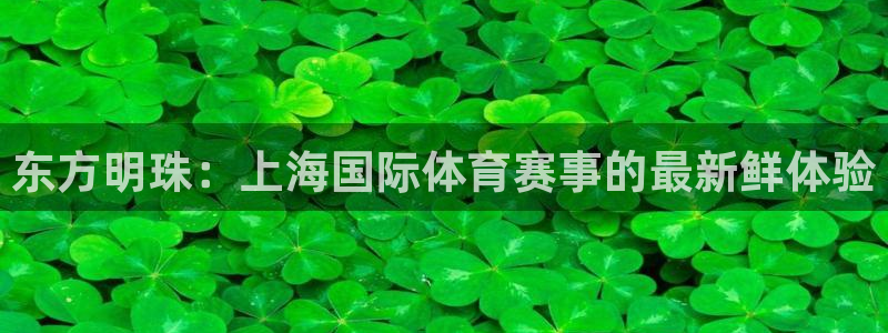 360直播无插件高清直播nba：东方明珠：上海国际体育赛事的最新鲜体验