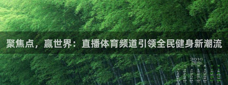 360体育直播nba在线观看：聚焦点，赢世界：直播体育频道引领全民健身新潮流